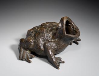 Toad Croaking