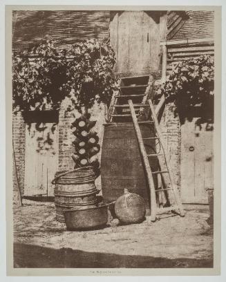 Farmyard: Still Life