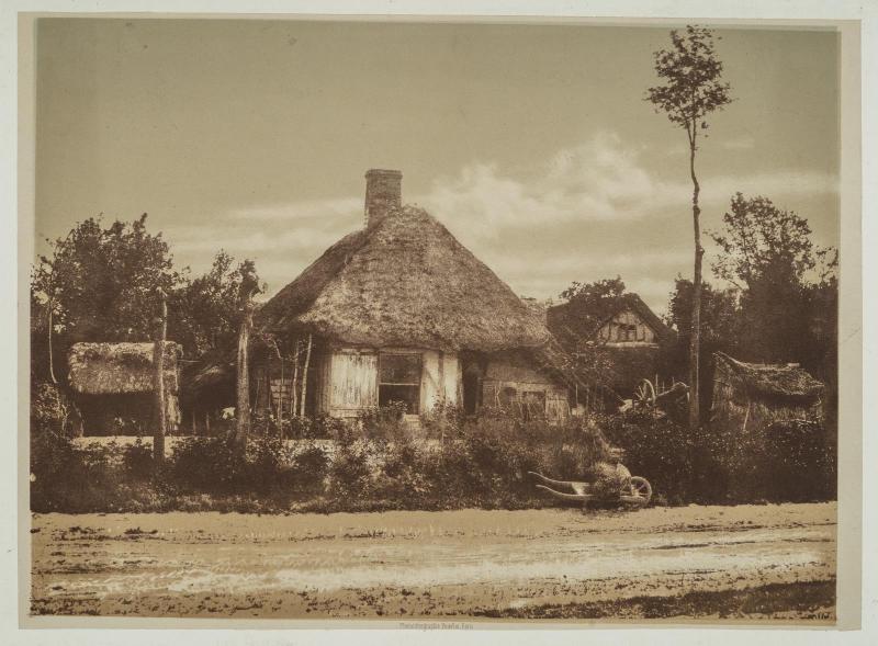 Farm