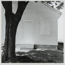 Tree and Meeting House. Lancaster, Pennsylvania.