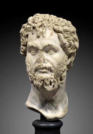 Head of Septimius Severus