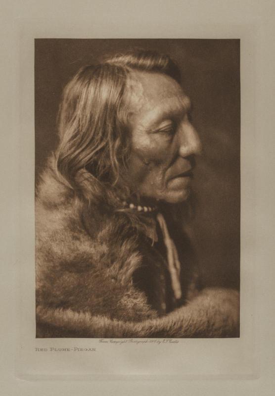 Red Plume, Piegan