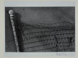 Fence