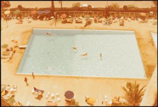 Large public swimming pool seen from above