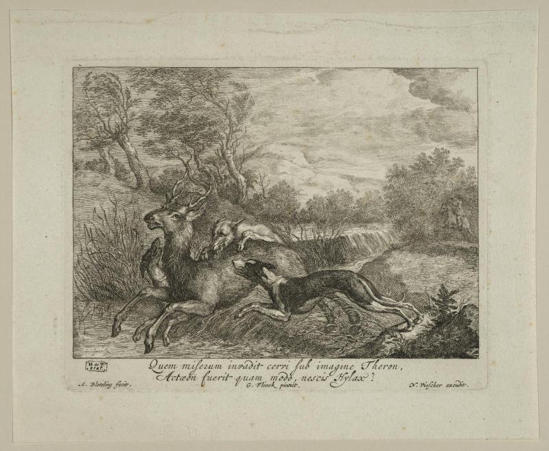 Actaeon charged into a stag