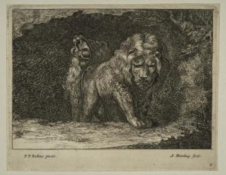 Two lions at mouth of cave