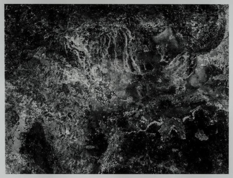 The A-Bomb, Ceiling, Stain (Genbaku donmu teni shimi), from the series "Chizu" ("The Map")