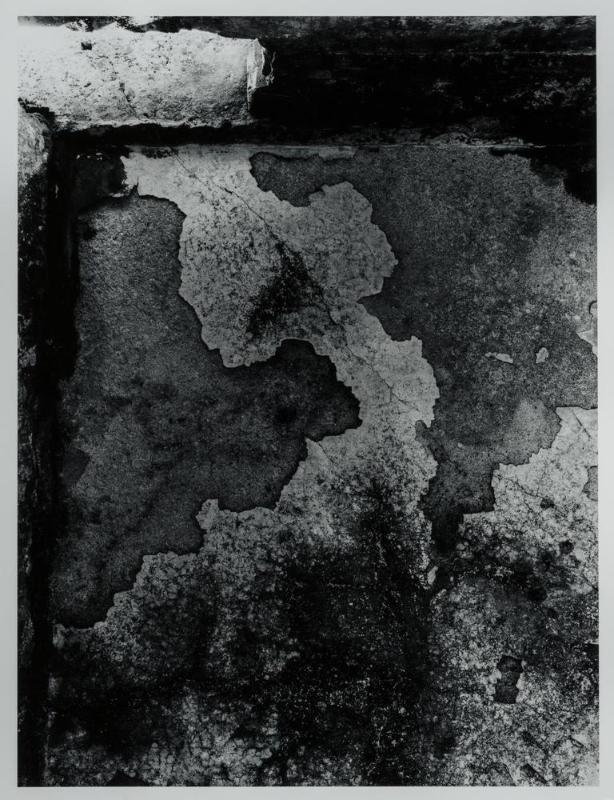 The A-Bomb Dome, Ceiling (Genbaku donmu  teni shimi), from the series "Chizu" ("The Map")