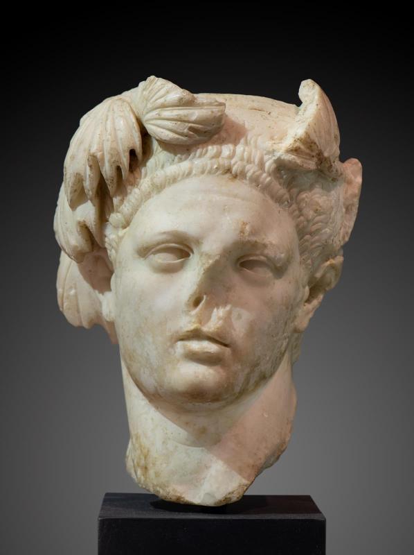 Head of Domitian in the guise of Hercules