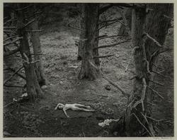 Woman and Dog in Forest