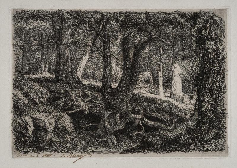 Tree with Roots