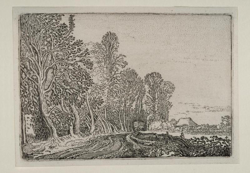 A Road with Grove at the Left