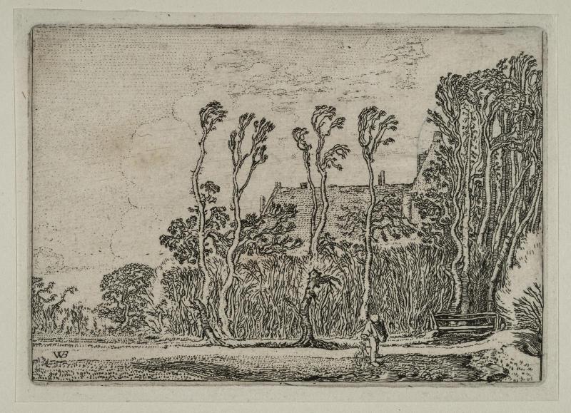 Trees with Man Sowing