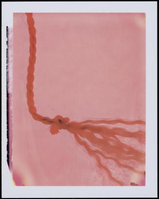 Narrow red braid, knot and tassel