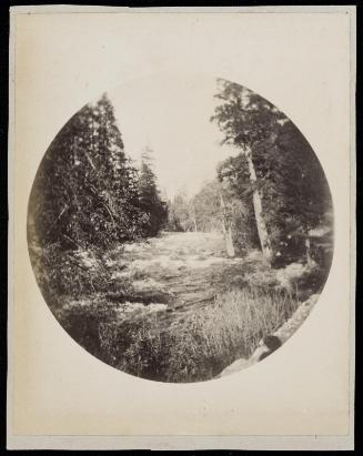 View of river, Yosemite