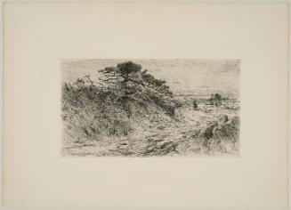 The Path to the Shore