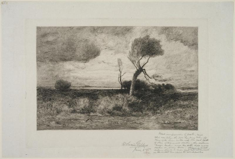 Near the Coast [large plate]