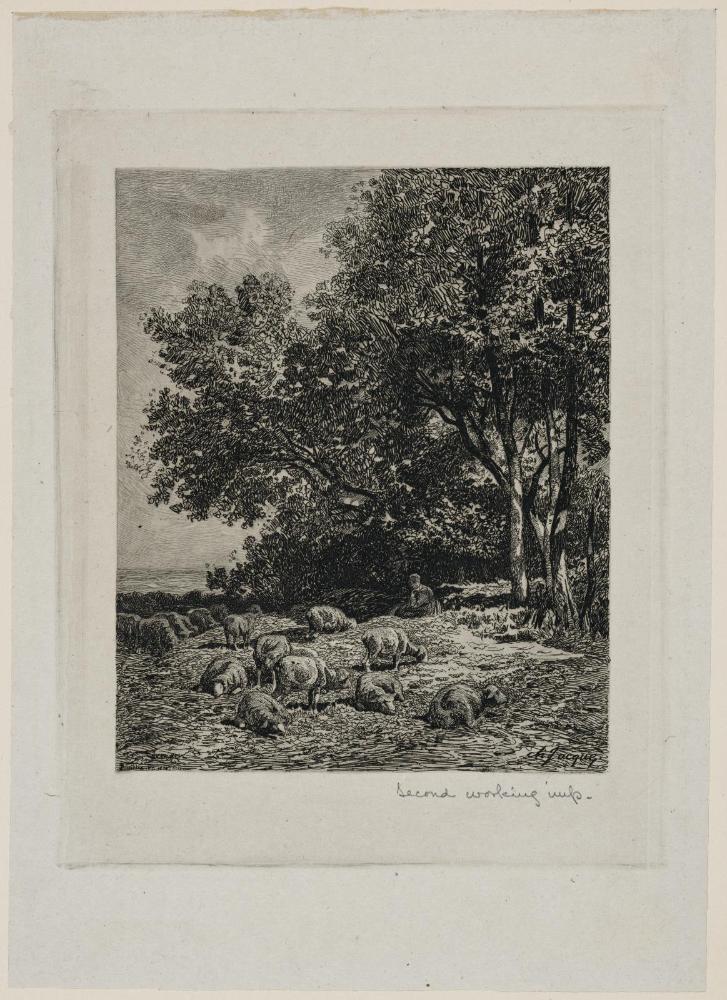 Landscape with Sheep