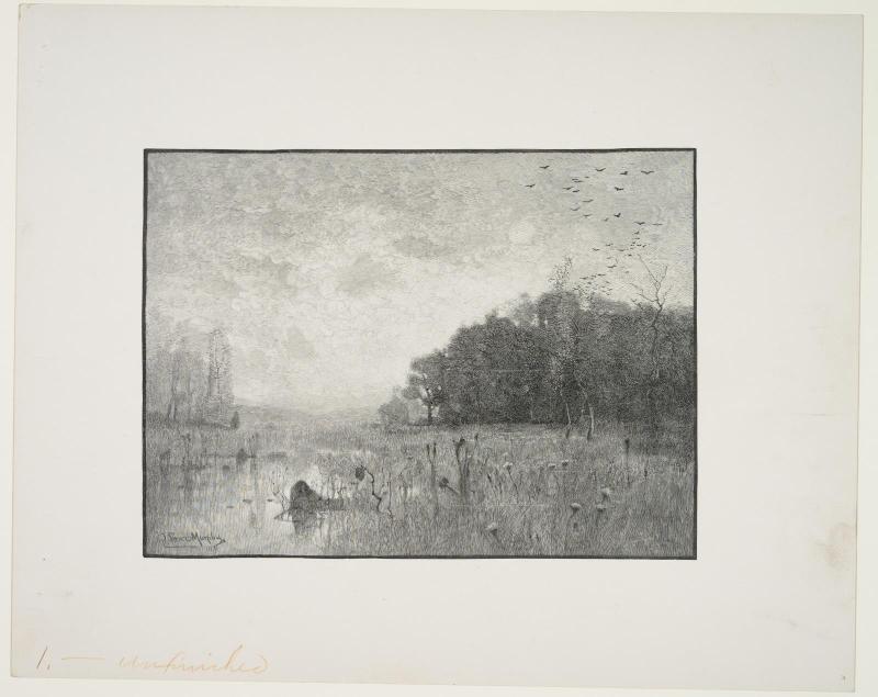 Morning on the Marsh