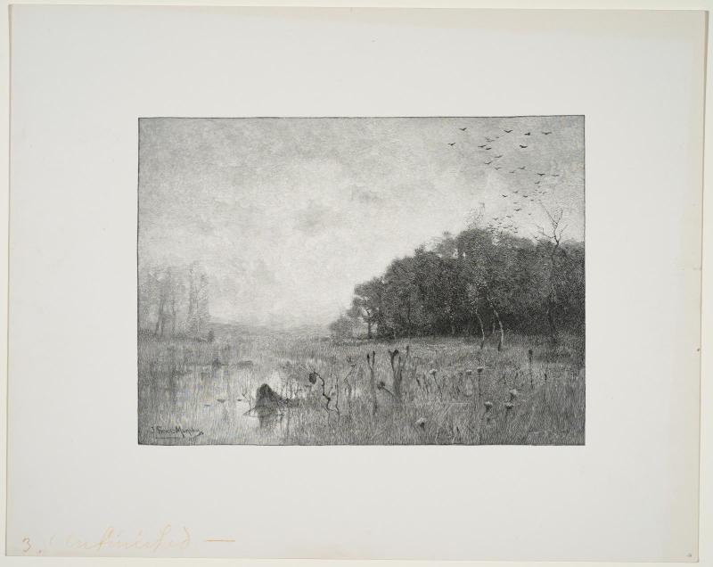 Morning on the Marsh