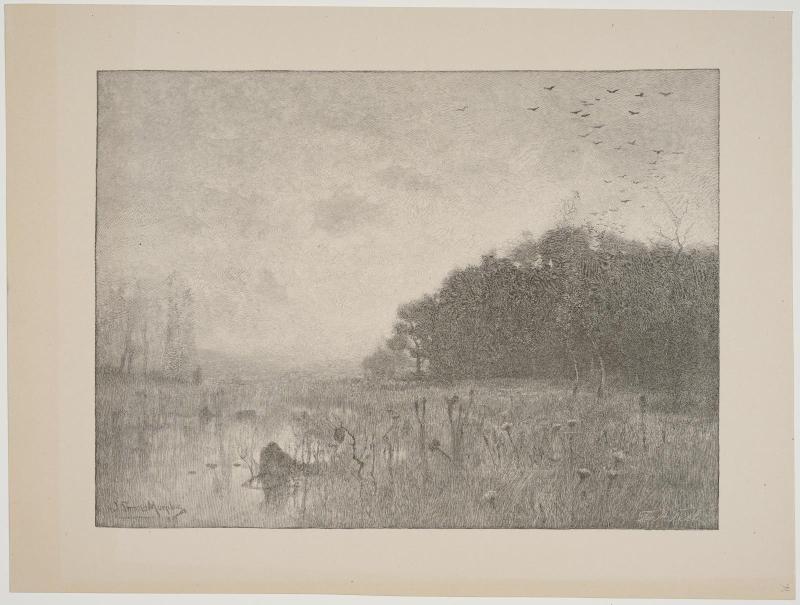 Morning on the Marsh