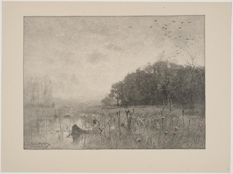 Morning on the Marsh