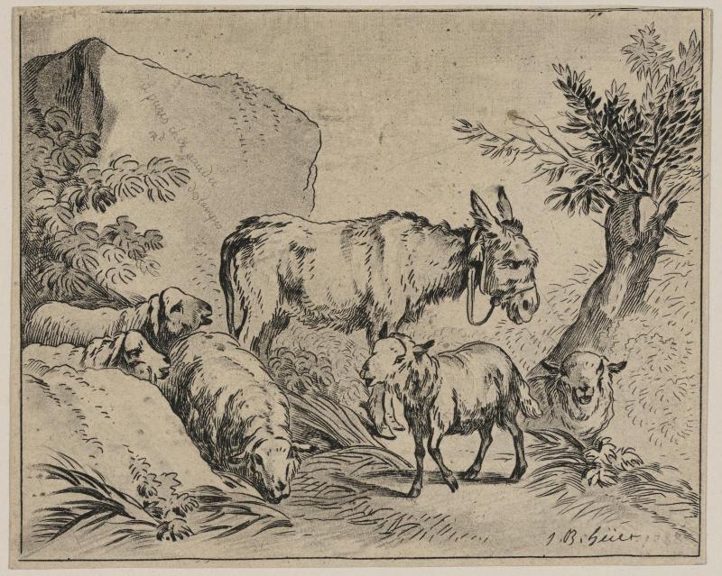 Farm Scene