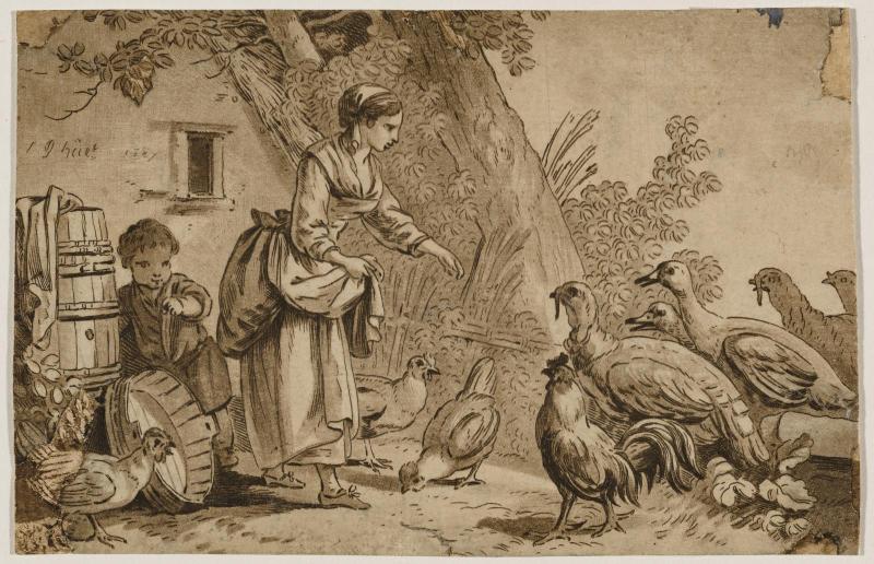 Feeding the Birds