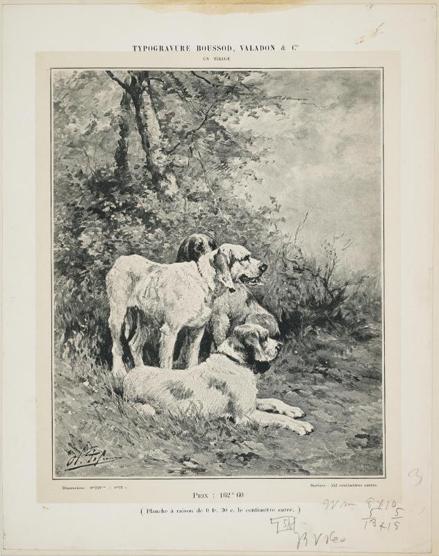 Dogs