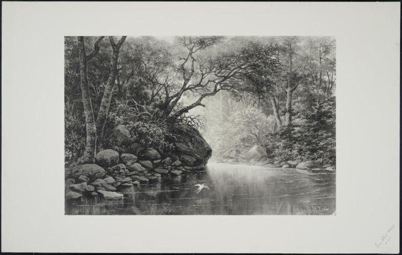 Landscape