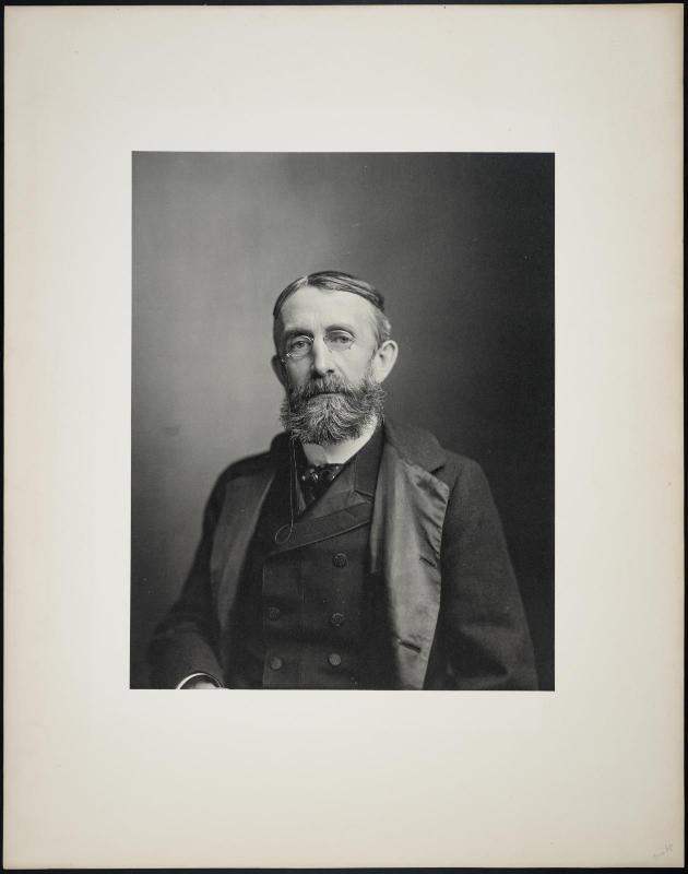 Portrait of a Gentleman