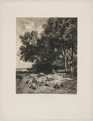 Landscape with Sheep