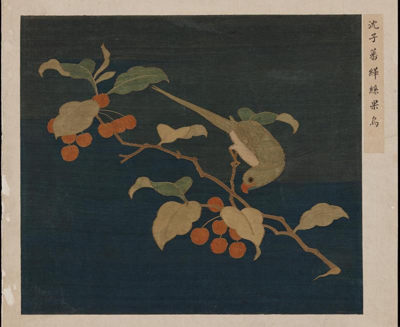 Parakeet on a Fruit-bearing Cherry Branch