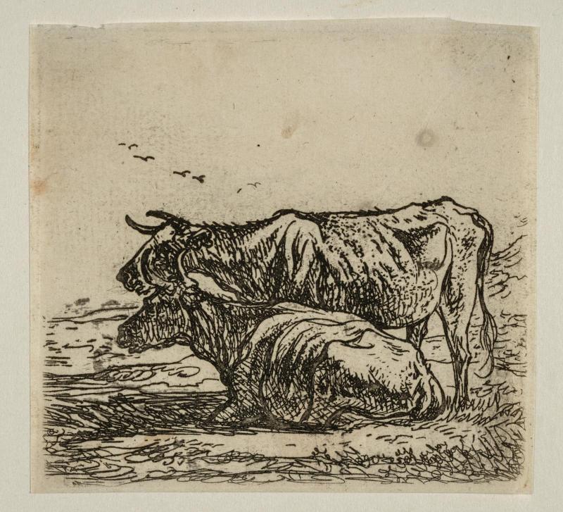 Series of six cattle pieces
