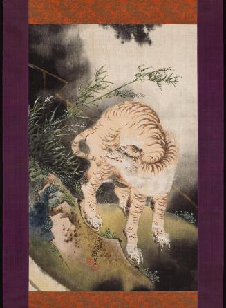 Tiger in a Thunder Storm