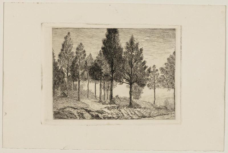 Landscape with Ceders