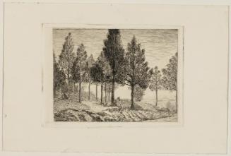 Landscape with Ceders