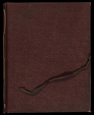 Photographs of Sinhalese minor arts, v. 3