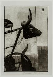 Torito, Coyoacán, Ciudad de México ( Little Bull, Coyoacán, Mexico City)