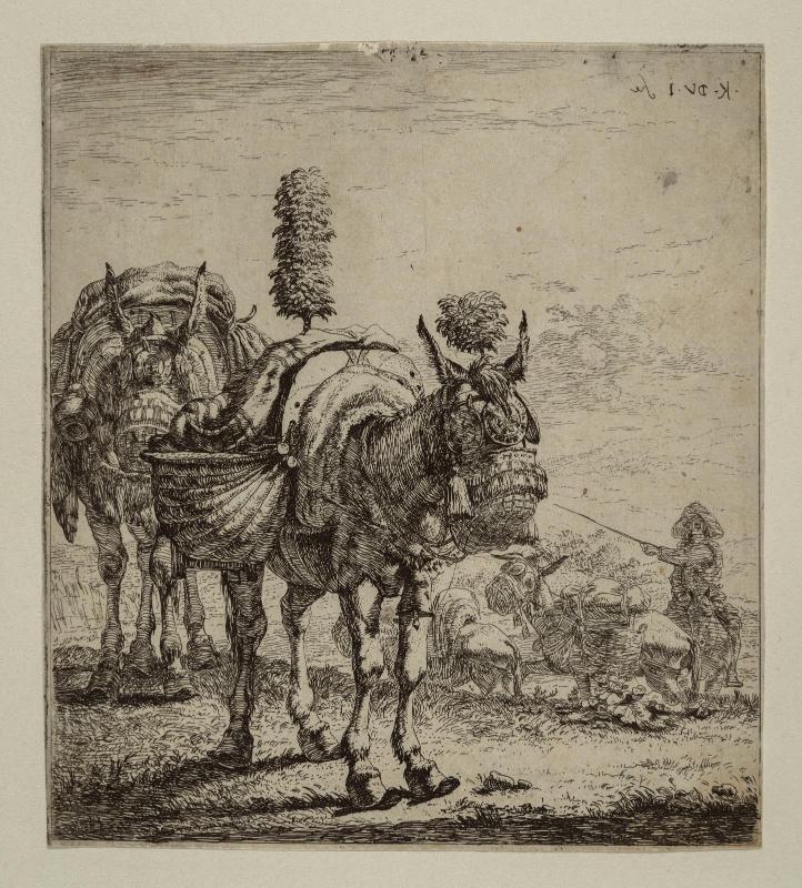 Two Mules