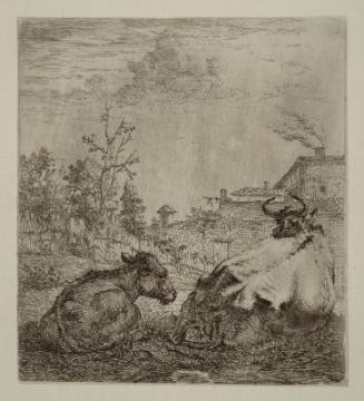 A Cow and a Calf