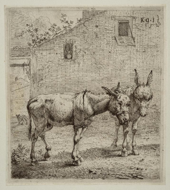 Two Donkeys