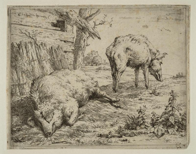 Two Pigs