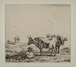 A Bull, a Cow, and a Calf