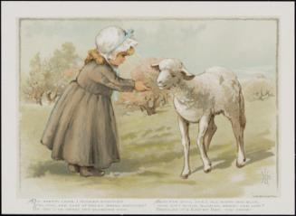 Easter Card: Oh, pretty lamb