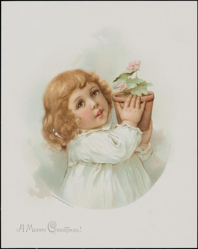 A Merry Christmas