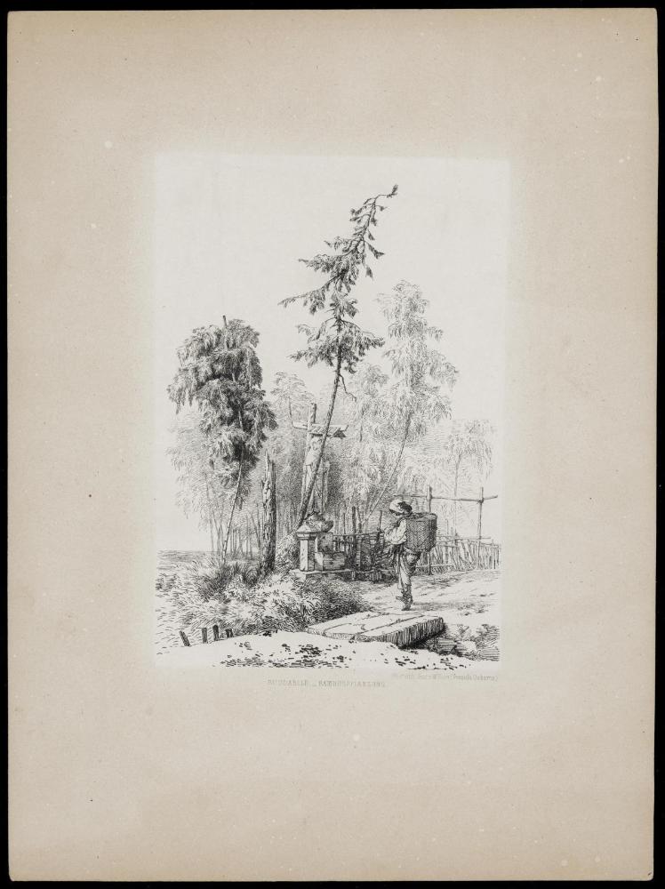 Statue of the Buddha in a Bamboo Grove