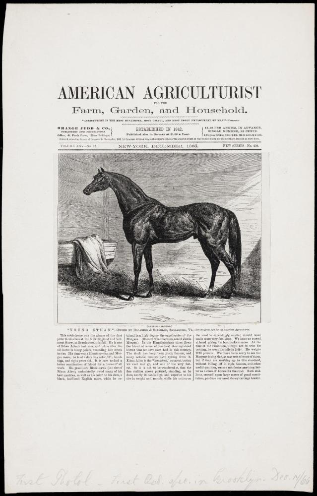 American Agriculturist