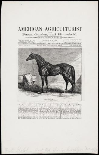 American Agriculturist