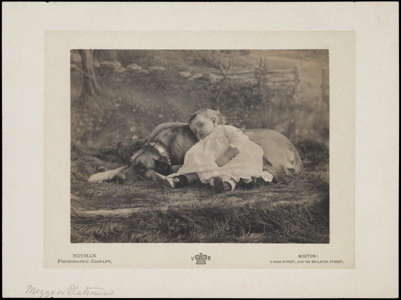 Child and Dog